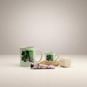 Sınırları Aşan Kadınlara Özel Motivasyonel Hediye Seti